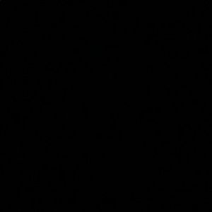 Meet your Posher, Essy